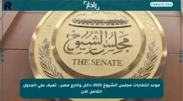 موعد انتخابات مجلس الشيوخ 2025 داخل وخارج مصر.. تعرف على الجدول الكامل الآن